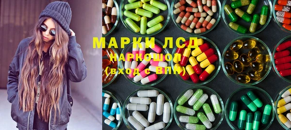 PSILOCYBIN Аркадак
