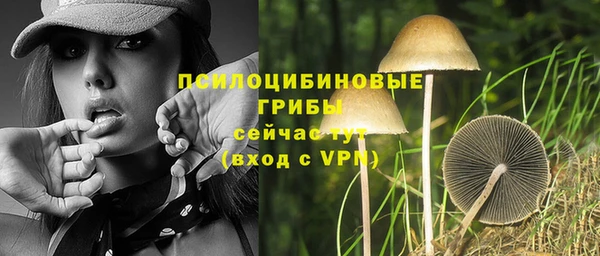 синтетический гашиш Арсеньев