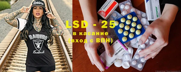 PSILOCYBIN Аркадак
