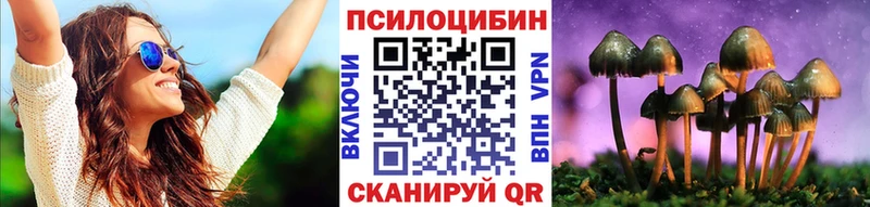 Галлюциногенные грибы Psilocybine cubensis  shop телеграм  Приморско-Ахтарск  как найти закладки  блэк спрут tor 